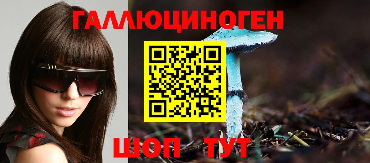 Псилоцибиновые грибы прущие грибы Санкт-Петербург